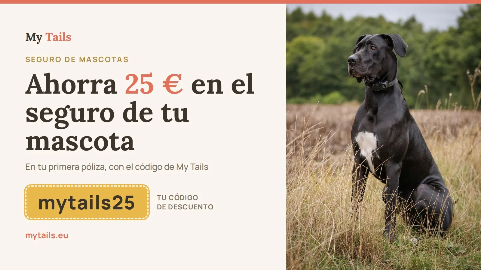 Ahorra 25 € en el seguro de tu mascota